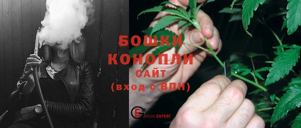 гидра Верея