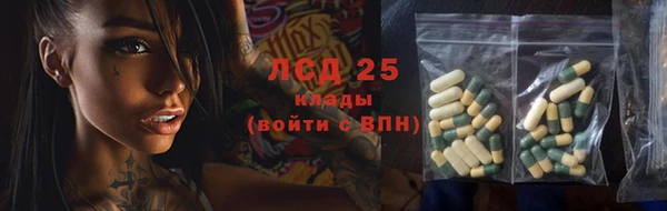 гидра Верея