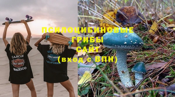 прущая мука Верхний Тагил