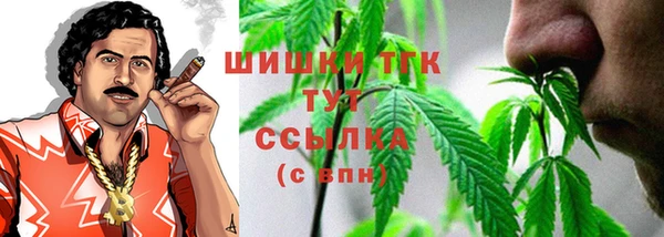 гидра Верея