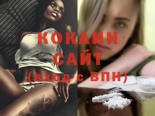 гидра Верея