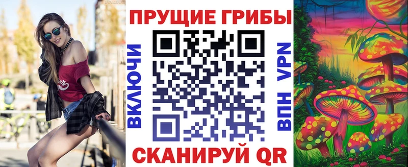 Псилоцибиновые грибы Magic Shrooms  закладка  Чехов 